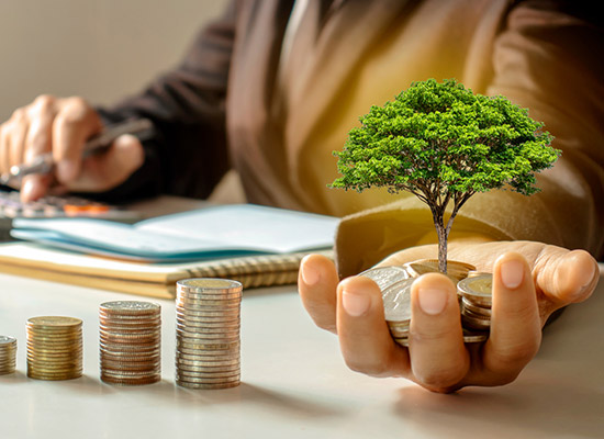 Origin of the Employment Stabilization Fund